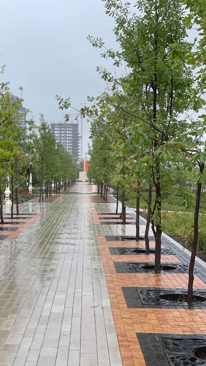 Приствольная решетка для дерева ZKING CRUST 1.2х1.2м Черная в Геленджике фото